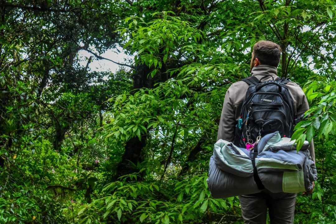 man carrying camping backpack standing in front of tree