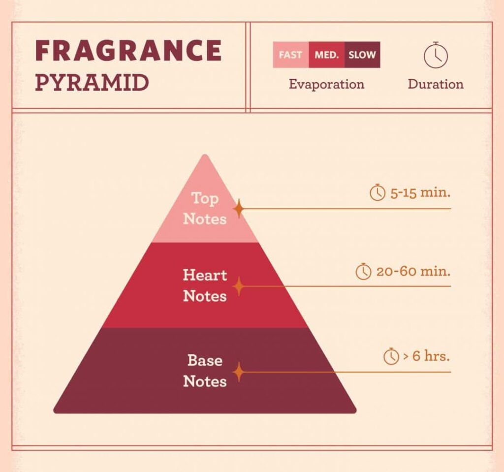 fragrance pyramid 1