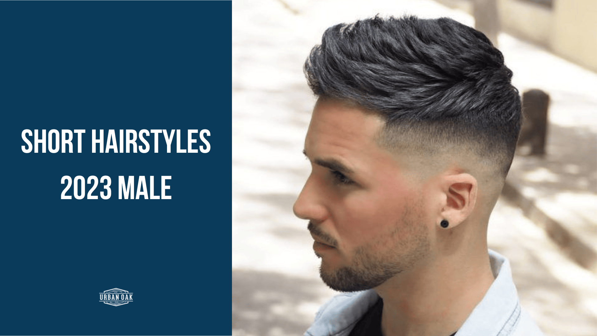 Short Hairstyles 2023 Male